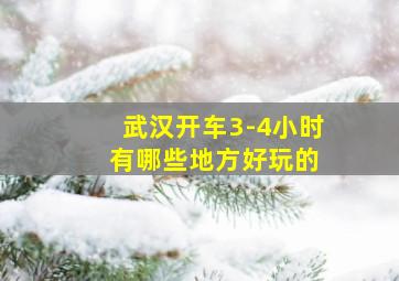 武汉开车3-4小时 有哪些地方好玩的